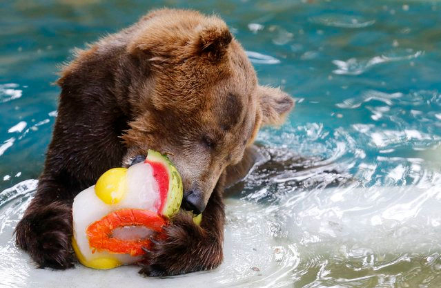 Animals in Thiruvananthapuram Zoo provided with cooling facilities amid increasing temp