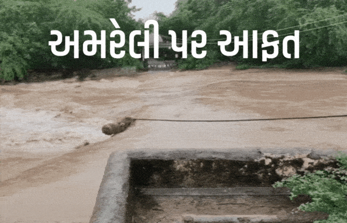 Video: અમરેલી પર વરસાદી આફત! બે સગર્ભાને JCB-બોટમાં લઈ જવાઈ, રાજુલામાં 50 લોકોનો બચાવ, સર્વત્ર પાણી જ પાણી