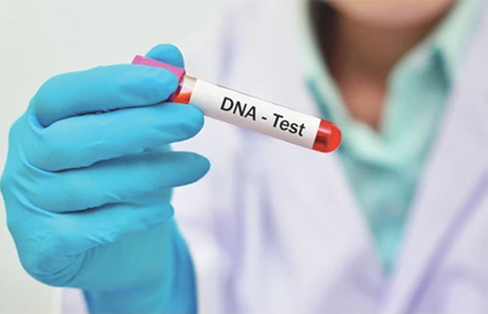આપણે શા માટે મૃત્યુ પામીએ છીએ? DNA સાથે તેનો સીધો સંબંધ
