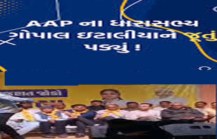 ખેડૂત સભામાં વિસાવદરના 'આપ'ના ધારાસભ્ય પર યુવાને જૂતું ફેંક્યું