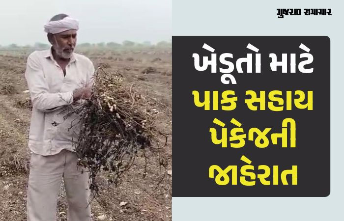 ખેડૂતોને પાક નુકસાની બદલ રૂ. 10 હજાર કરોડનું સહાય પેકેજ જાહેર, સમીક્ષા બેઠક બાદ રાજ્ય સરકારનો નિર્ણય
