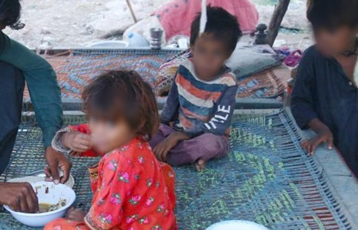 Gujarat spent ₹12,000 cr on milk for tribal women, kids, but leads in malnourishment
