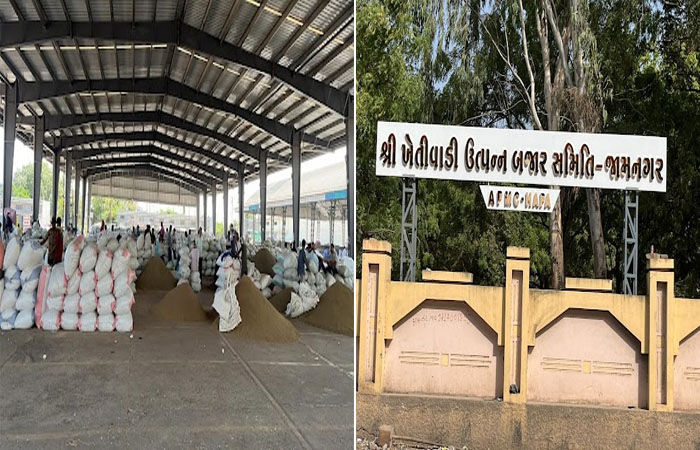 જામનગરના હાપા માર્કેટિંગ યાર્ડમાં મગફળીના પાકની સિઝનની પ્રથમ આવક થઈ : મણના રૂ.1605 સુધી મળ્યા