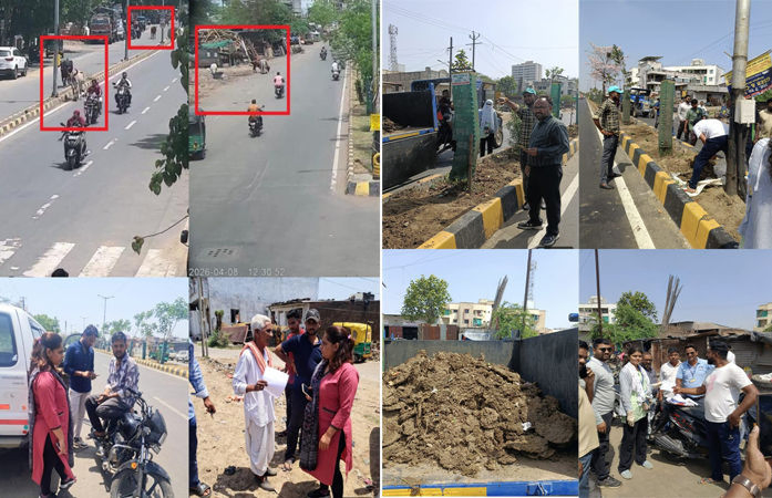 VMC takes strict action against owners who leave animals on public roads