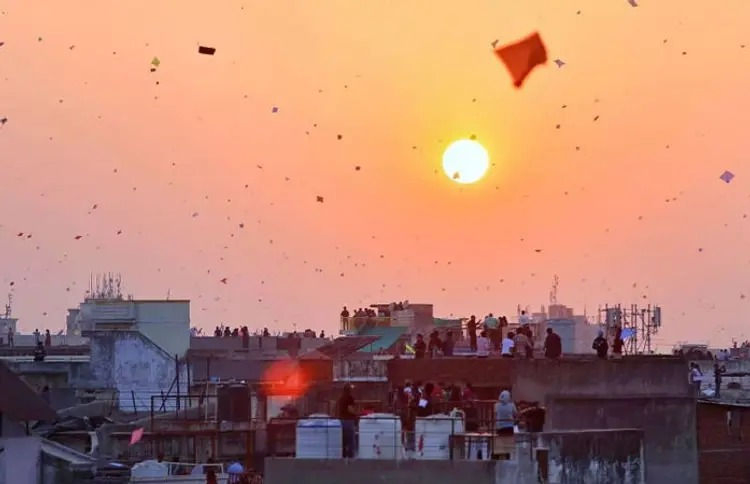 Kai po chhe! Ahmedabad winds favour kite enthusiasts, check bird helpline numbers