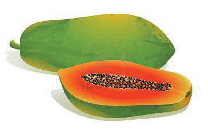 અજમાવી જૂઓ - મીનાક્ષી તિવારી