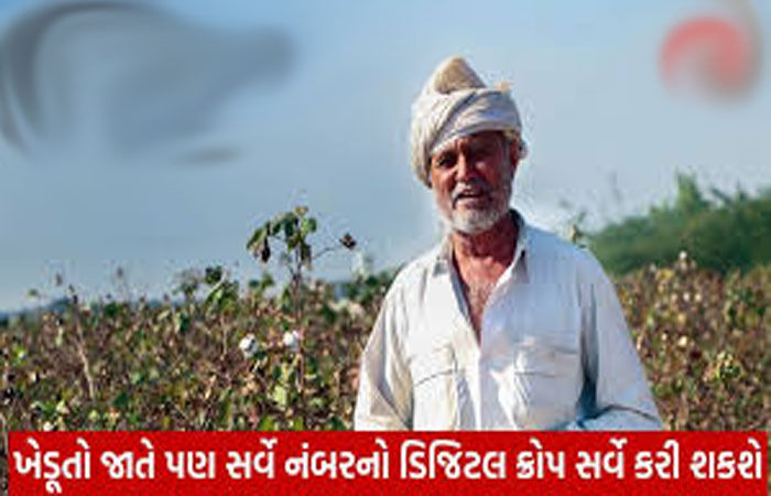 સર્વે નંબરોના આધારે ખેડૂતોના રવિ પાકની વિગતો એકત્ર કરવામાં આવશે