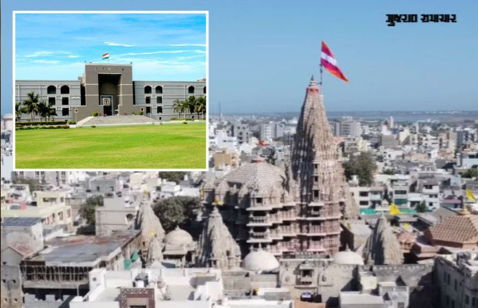 દેવભૂમિ દ્વારકામાં બે હજાર રખડતાં ઢોરનો ત્રાસ, હાઈકોર્ટે ન.પા. ચીફ ઓફિસર પાસે જવાબ માંગ્યો