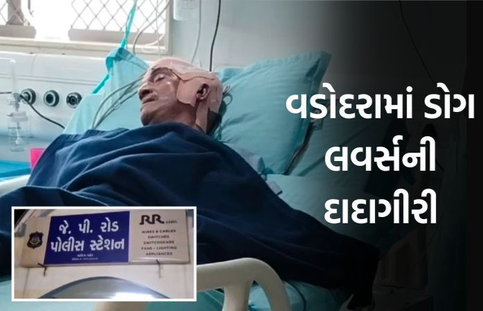 વડોદરામાં રખડતા શ્વાનનો વિવાદ ઉગ્ર બન્યો: સોસાયટીના પ્રમુખનું અપહરણ કરી ઢોર માર માર્યો