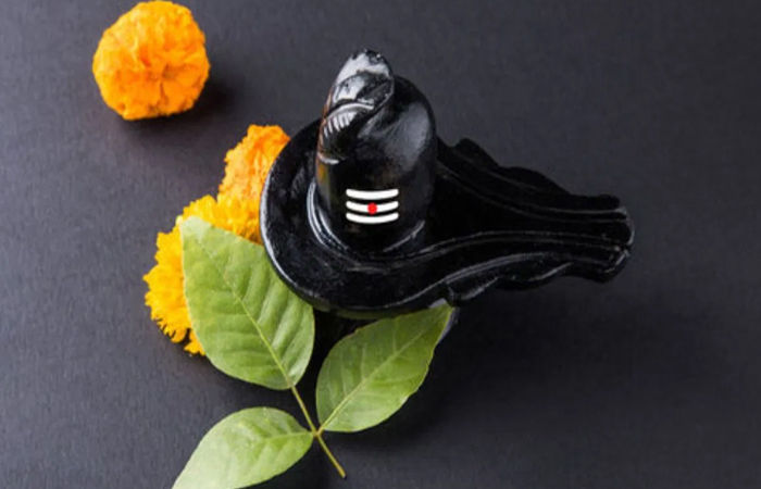 શિવલિંગ પર બિલિપત્ર ચઢાવતી વખતે આ બાબતોનું ધ્યાન રાખવું, પૂજાનું પૂરુ ફળ મળશે!