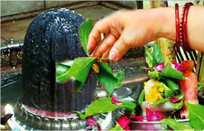 શ્રધ્ધાળુઓ શ્રાવણ માસમાં પુણ્ય કમાવવા કરે છે ધાર્મિક પ્રવાસ અને ટ્રાવેલ્સના ધંધાને મળે છે નવી રોજગારી