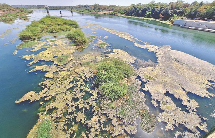 Industries dump toxic effluents into Gujarat rivers, why should taxpayers pay for clean-up?