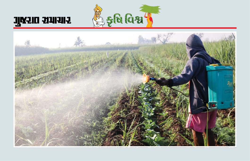 જંતુનાશક દવાઓનો બેફામ ઉપયોગ, સ્વાસ્થ્ય સંબંધી ગંભીર સમસ્યાઓ નોંતરશે