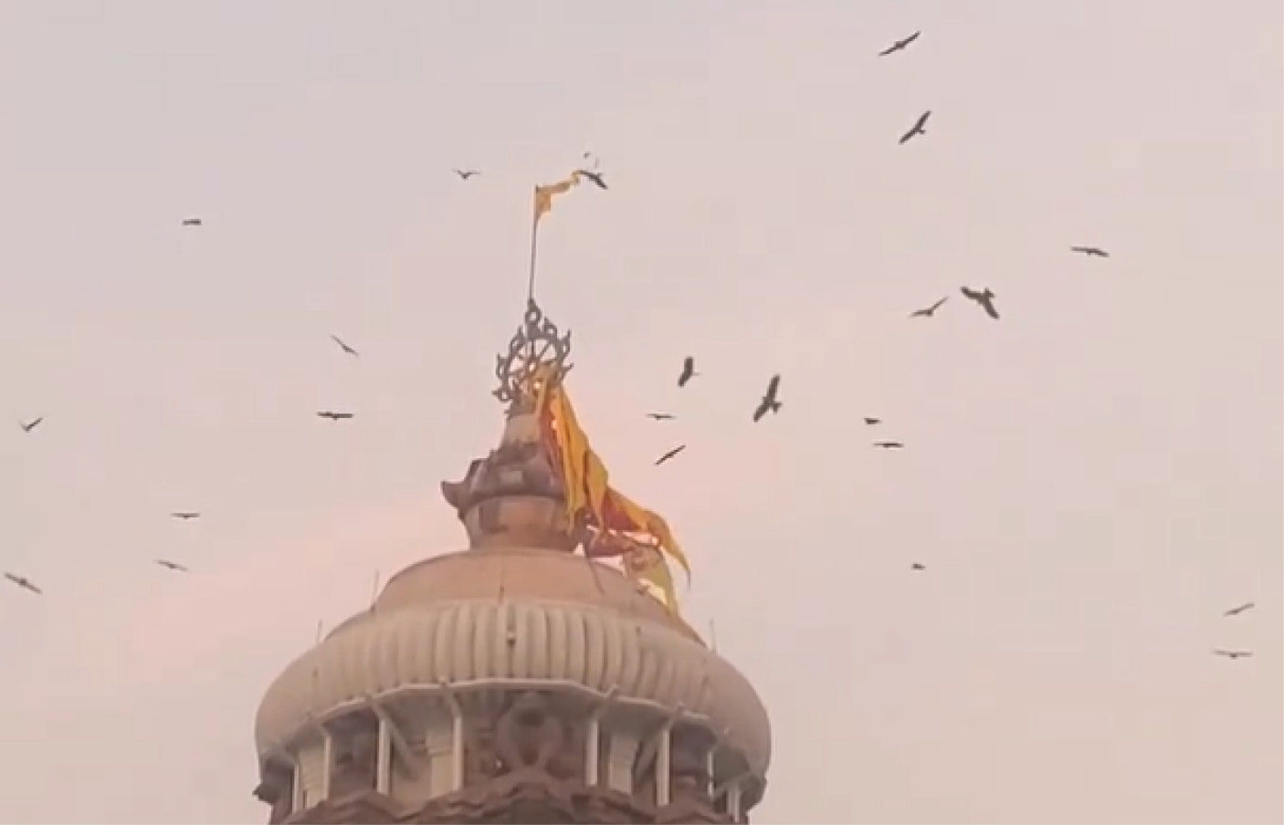 VIDEO: જગન્નાથ મંદિરના શિખર પર ઉડતા જોવા મળ્યા ગરુડ, કોઈ અશુભ ઘટનાનો સંકેત?