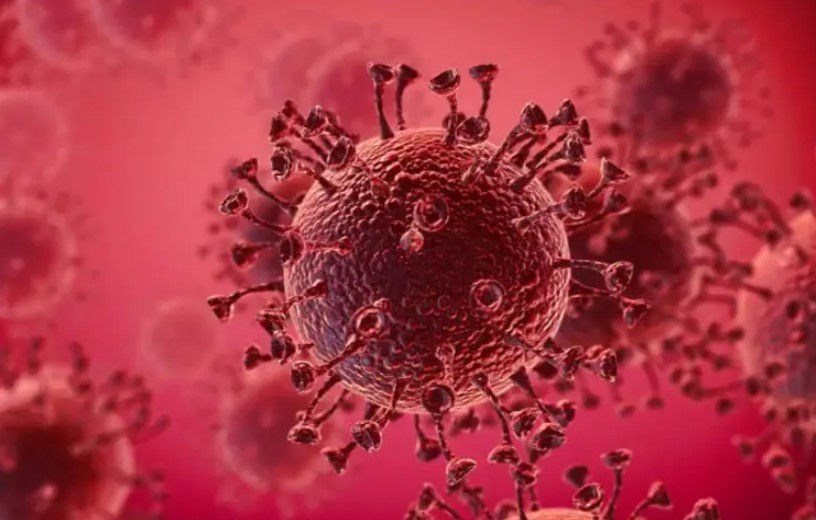 No need to panic, isolate people with symptoms: Gujarat health minister on new COVID variant