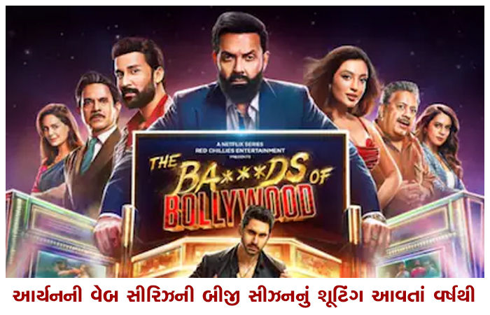 આર્યનની વેબ સીરિઝની બીજી સીઝનનું શૂટિંગ આવતાં વર્ષથી