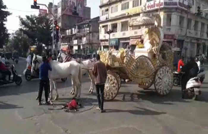 વડોદરા: દાંડિયા બજાર ચાર રસ્તા પાસે એક્ટિવા અને ઘોડાગાડી વચ્ચે અકસ્માત
