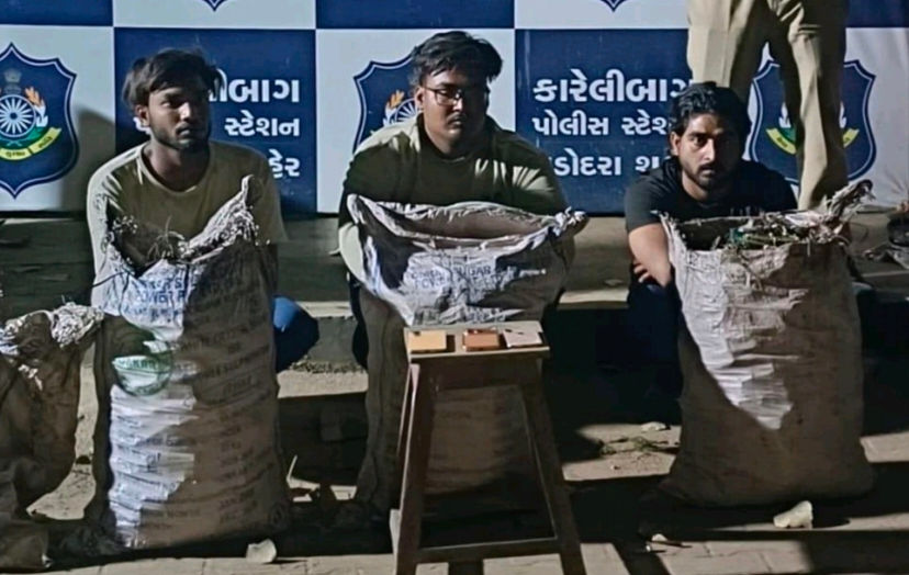 શહેરમાં BSNLના સાધનોની ચોરતી પરપ્રાંતીય ત્રિપુટી પકડાઇ,1000 ડિસ્ટ્રિબ્યુશન મોડ્યુલ કબજે