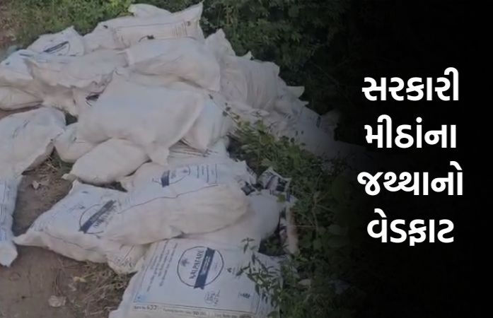 પંચમહાલમાં રોડ કિનારે બિનવારસી હાલતમાં સરકારી મીઠાંનો જથ્થો મળ્યો, તંત્ર સામે ગંભીર સવાલ ઊઠ્યાં