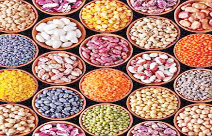 સાનુકૂળ સ્ટોકને ધ્યાનમાં રાખતા વર્તમાન નાણાં વર્ષમાં કઠોળની આયાત નીચી રહેશે
