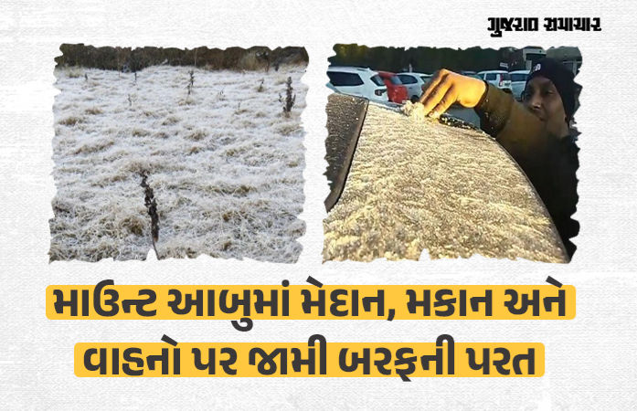 VIDEO: માઉન્ટ આબુમાં શિમલા જેવો માહોલ, ઠંડીનો પારો ગગડતા પ્રવાસીઓ પિકનિક માટે ઉમટ્યા