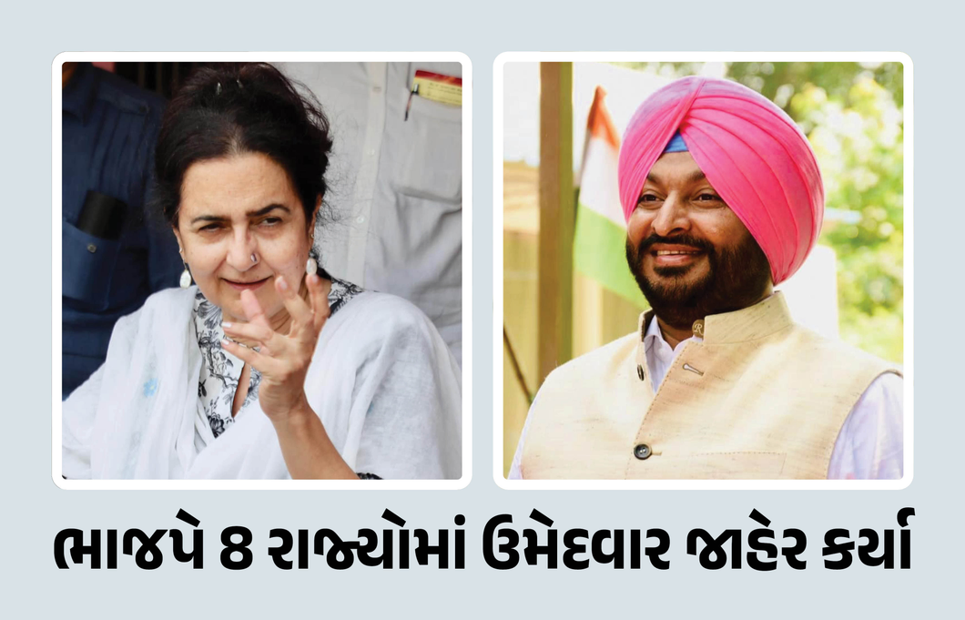 ભાજપે જાહેર કર્યા રાજ્યસભાની પેટા ચૂંટણીના નવ ઉમેદવારો, જુઓ યાદી