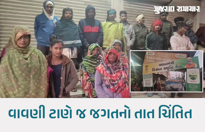 છોટાઉદેપુરમાં ખાતરની અછત: ખેડૂતો કડકડતી ઠંડીમાં રાત્રે 3 વાગ્યાથી લાઇનોમાં ઊભા રહેવા મજબૂર