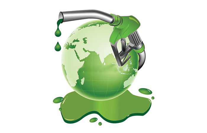 What is Biodiesel? What is it Made From?