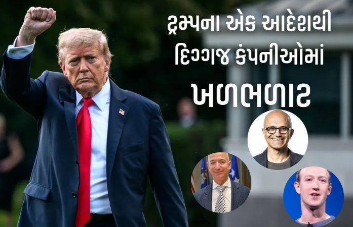 H1B વિઝાના નવા નિયમથી મેટા-માઇક્રોસોફ્ટમાં ખળભળાટ! ઈમેલ કરી કહ્યું- 24 કલાકમાં US પરત ફરો