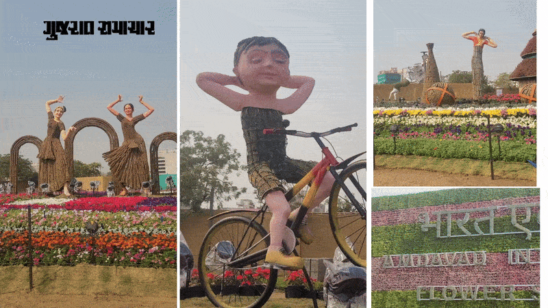 અમદાવાદમાં ફૂલોનો મનમોહક દરિયો! આજથી ફ્લાવર શોનો પ્રારંભ, જાણો મુખ્ય આકર્ષણો અને ટિકિટના દર