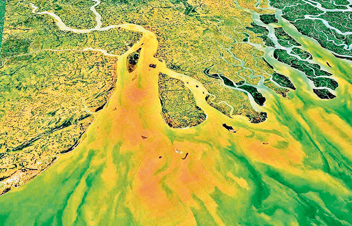 The World’s Largest River Delta The Ganges Delta
