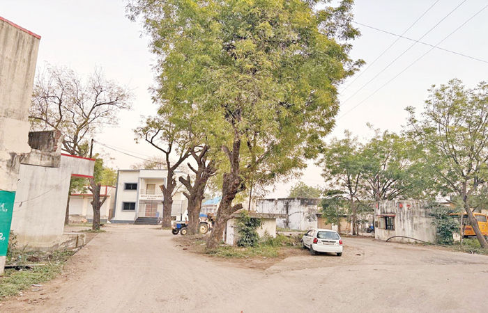 બાલાસિનોરનું 6 દસકા જૂનું માર્કેટિંગ યાર્ડ શોભાના ગાંઠિયા સમાન, હરાજી બંધ