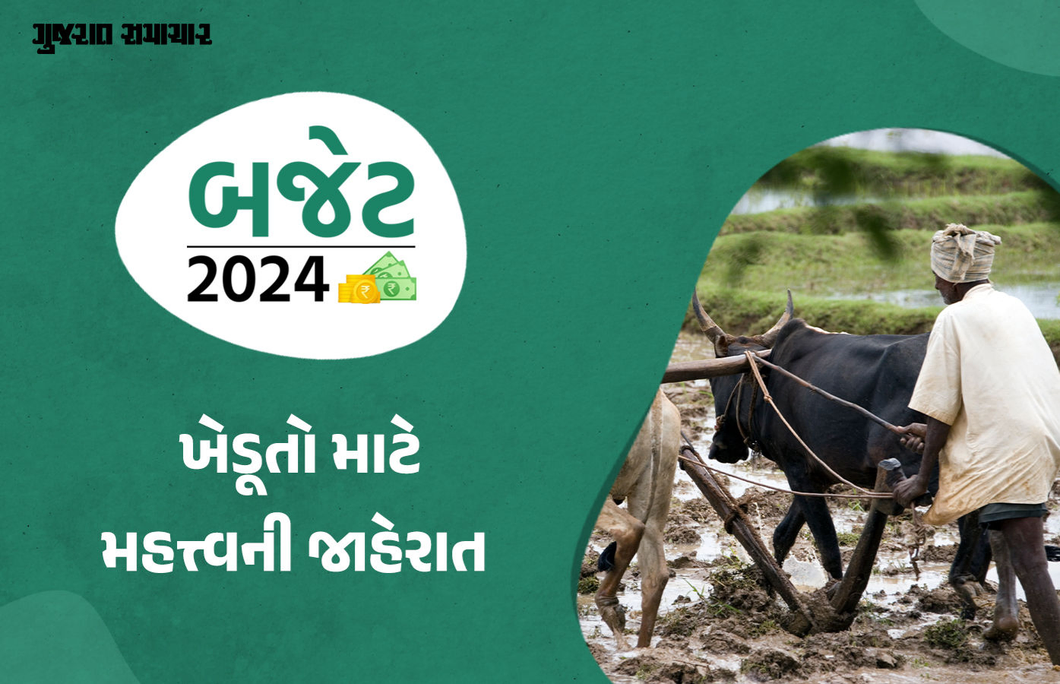 Budget 2024: જાણો બજેટમાં ખેડૂતો માટે શું રહ્યું ખાસ,  KCC પર થઇ મોટી જાહેરાત