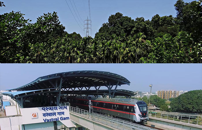 1,687 trees chopped down in Ahmedabad-Gandhinagar for the metro project