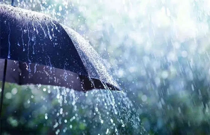 વિવિધ તાલુકાઓમાં અર્ધાથી લઈને દોઢ ઈંચ સુધી વરસાદ