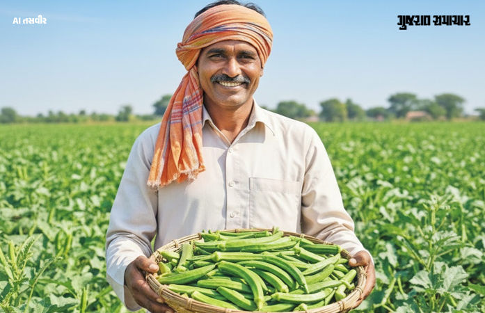 ગુજરાતની મોટી સિદ્ધિ: ભીંડાના ઉત્પાદનમાં દેશમાં પ્રથમ ક્રમે, સૌરાષ્ટ્ર-કચ્છનું નોંધપાત્ર પ્રદાન