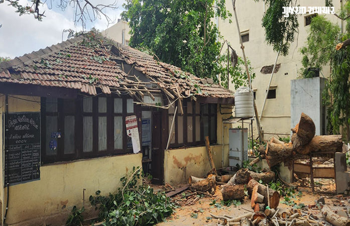 જામનગર: ભારે પવનના કારણે મહાકાય વૃક્ષ પડતા મહિલા પોલીસ મથક બન્યુ ખંડેર, સરકારી સામાનને મોટું નુકસાન