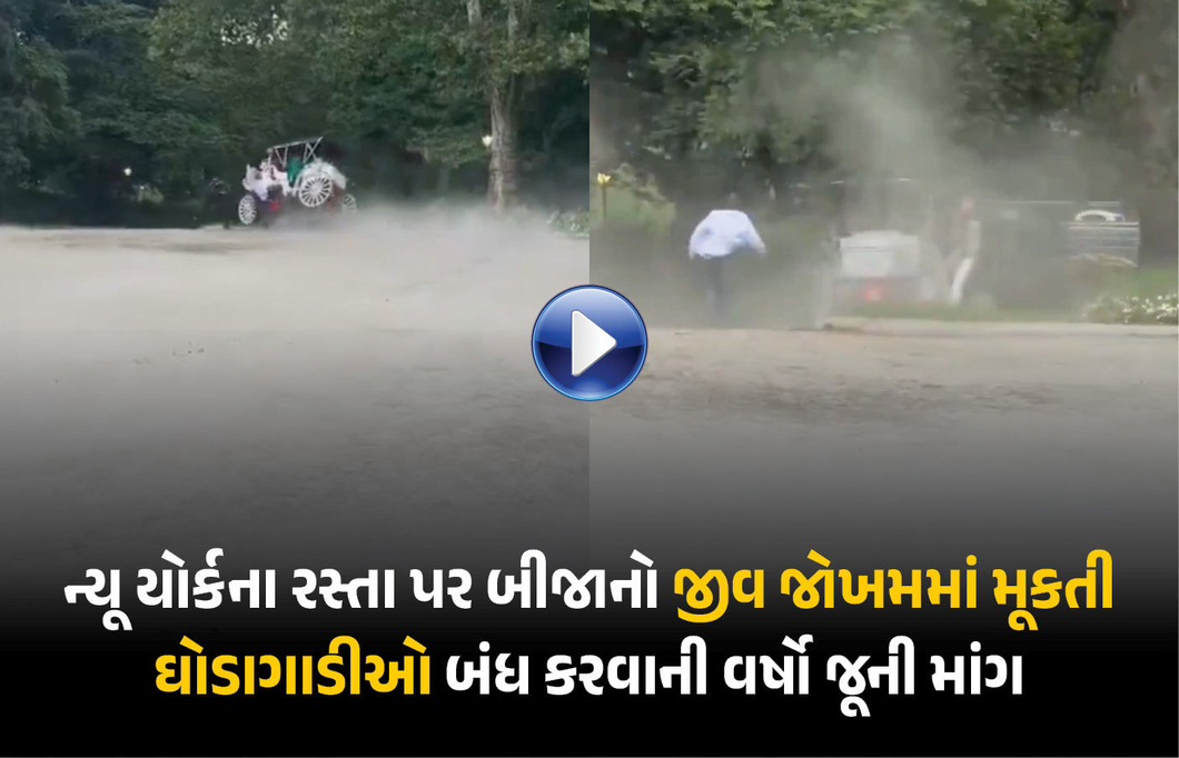 VIDEO : ન્યૂ યોર્કની જાણીતી ઘોડાગાડી સવારી વખતે ભારતીય યુવકનું મોત, 200 વર્ષ જૂની પરંપરા બંધ કરવાની માંગ