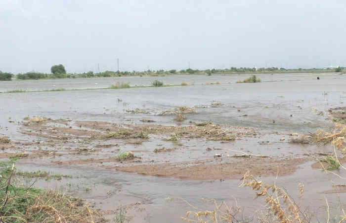 200 વિઘા જેટલી જમીનમાં પાણી ફરી વળ્યા