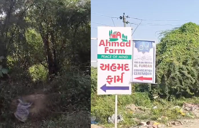 અમદાવાદમાં પ્રેમ સંબંધનો કરુણ અંત: સગીર પ્રેમિકાની હત્યા કરનારો પ્રેમી ઝડપાયો
