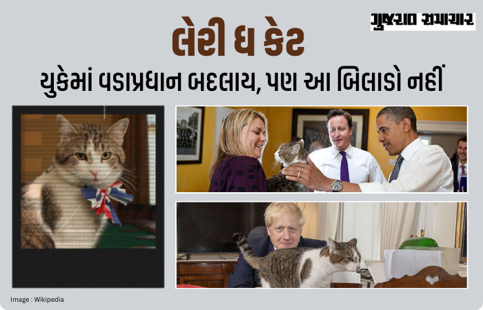 UKનો સરકારી બિલાડો 'લેરી': 6 PM બદલાયા પણ તે 15 વર્ષથી 'સત્તા'માં! વર્લ્ડ લીડર્સ સામે પણ રાજા જેવો મિજાજ