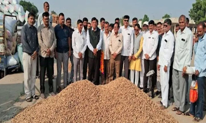 Farmers relieved as Jamnagar’s Hapa Market starts purchasing groundnuts at MSP