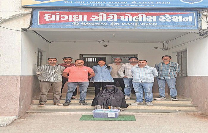 ધ્રાંગધ્રા શહેરમાં રૃ.1.23 લાખના સુકા ગાંજા સાથે મહિલા ઝડપાઇ