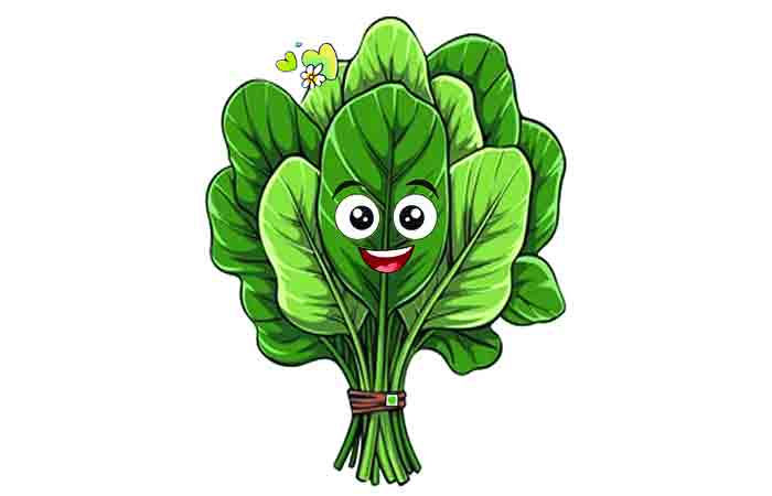 ઝૂડી અને ઝૂડો                                         .