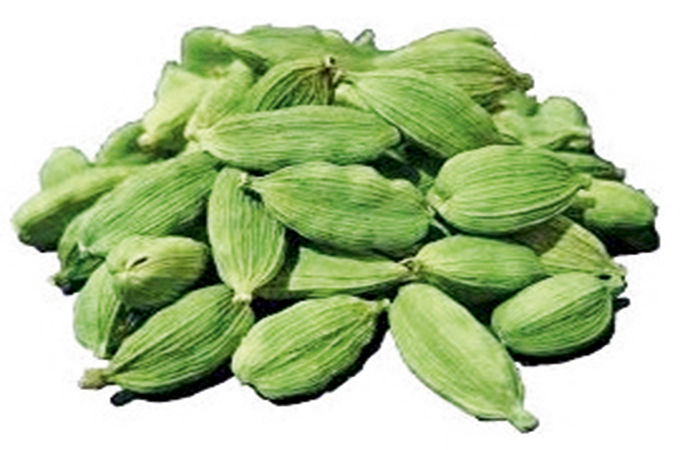 અજમાવી જૂઓ                                                  .