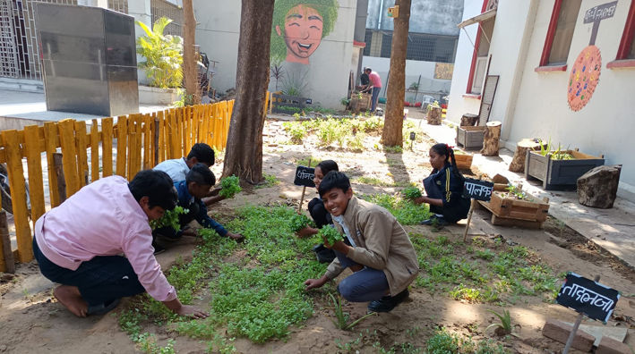 ફતેગંજની સ્કૂલમાં બાળકોએ 1200 ચોરસ મીટરનો કિચન ગાર્ડન બનાવ્યો