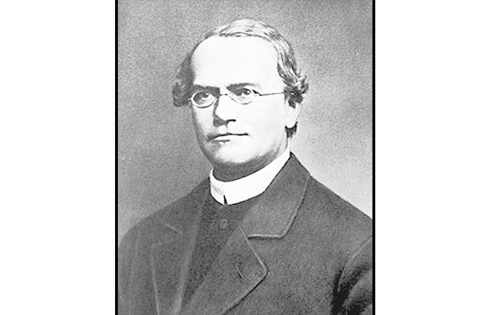 Gregor Mendel: Pioneer of Genetics