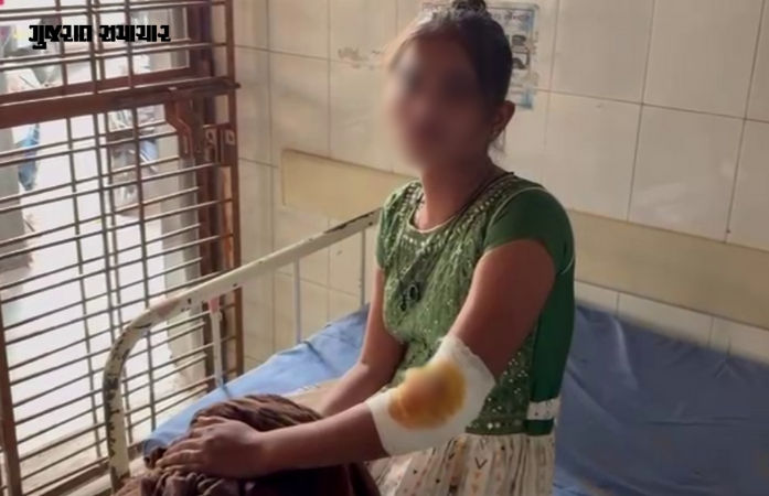 VIDEO: પંચમહાલના શહેરામાં રખડતા શ્વાનનો યુવતી પર હુમલો, હાલત ગંભીર થતા ગોધરા સિવિલ હોસ્પિટલ ખસેડાઈ