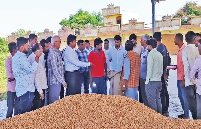 સુરેન્દ્રનગર જિલ્લાના મુળી એપીએમસીમાં ટેકાના ભાવે મગફળીની ખરીદીનો પ્રારંભ