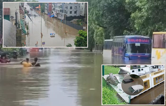Vadodara floodwaters recede, suffering prevails